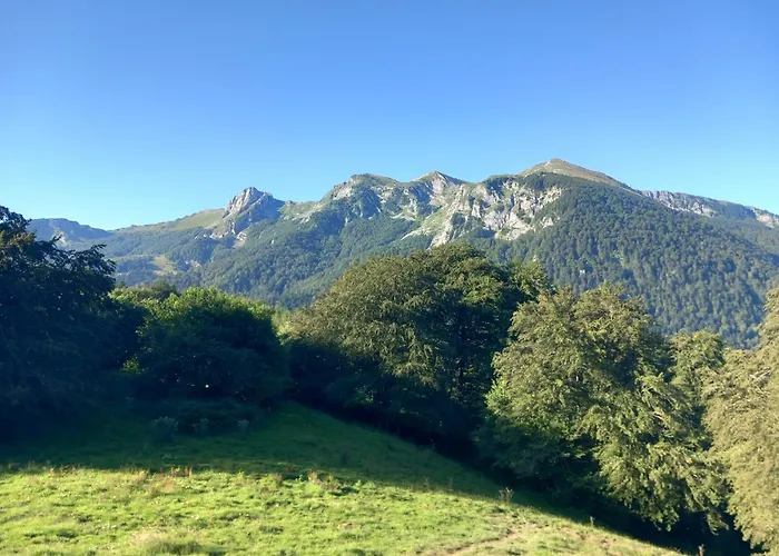 Apartamento Arriumage